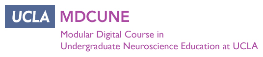 Modular Digital Course in Undergraduate Neuroscience Education